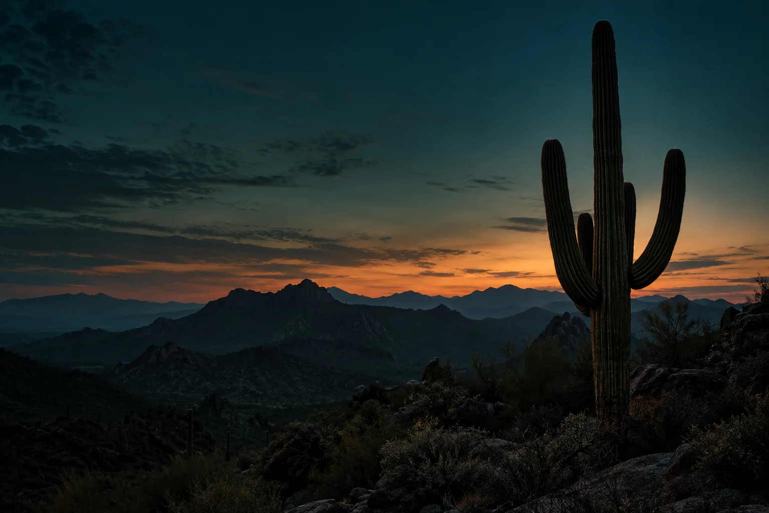 Sonoran desert mountains and a saguaro at blue hour